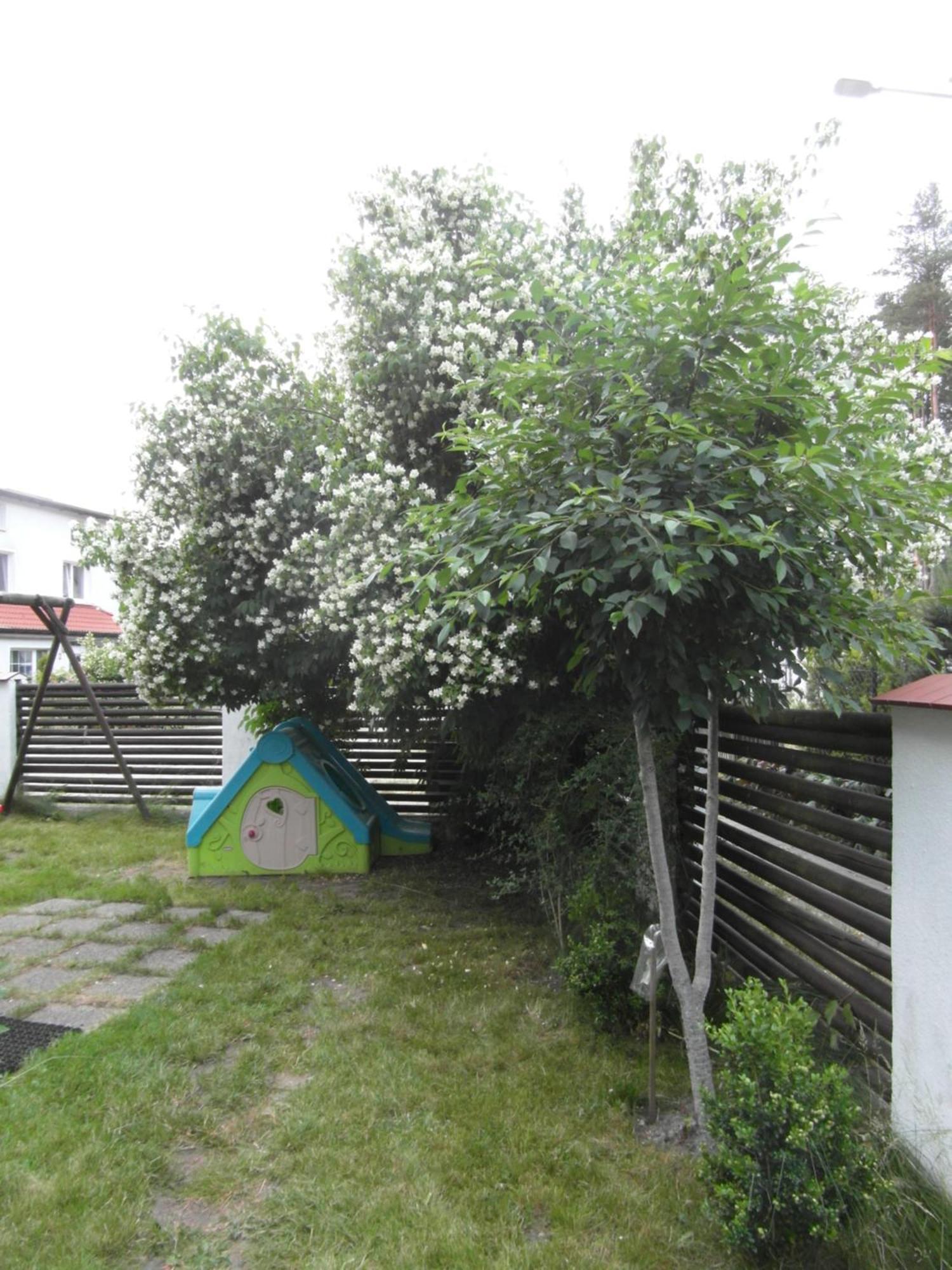 Villa Banita Ούστκα Εξωτερικό φωτογραφία